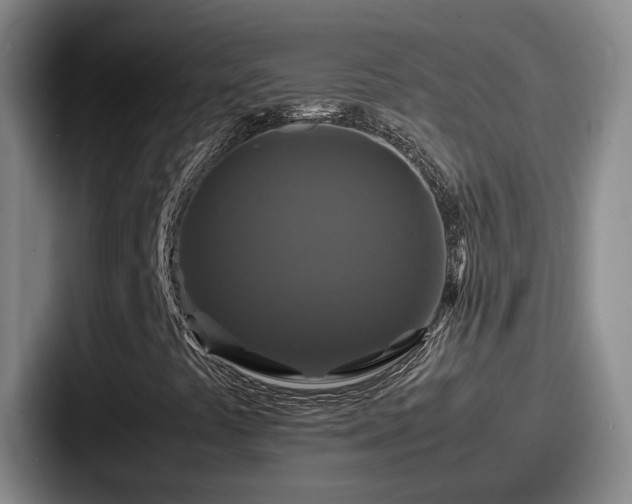 X0000087711441200705111413