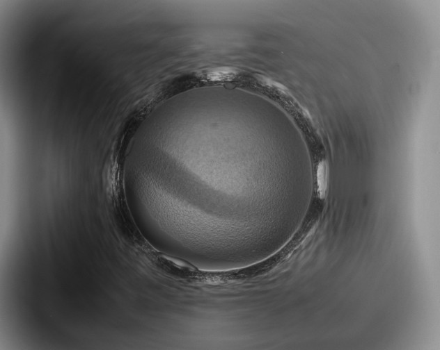 X0000087711443200705111413