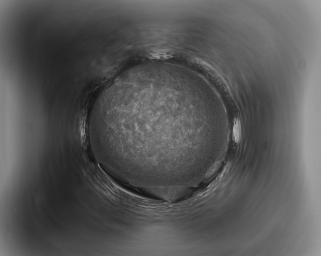 X0000087711444200705111412