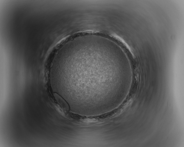 X0000087711448200705111412