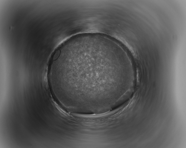 X0000087711452200705111412