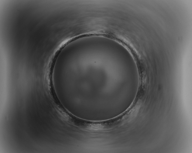 X0000087711455200705111412