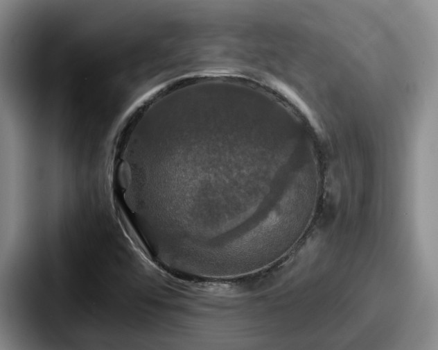 X0000087711456200705111412