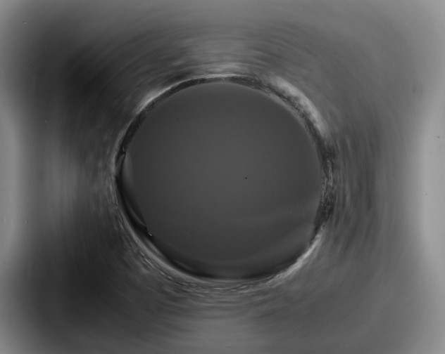 X0000087711457200705111412