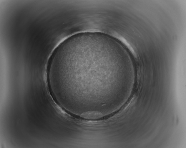 X0000087711460200705111412