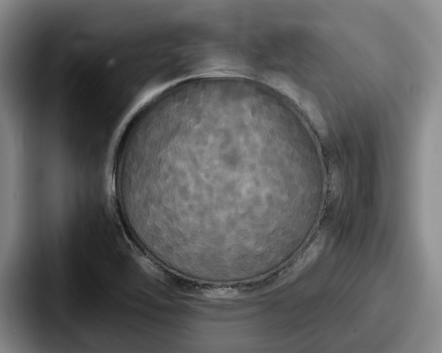 X0000087711462200705111412