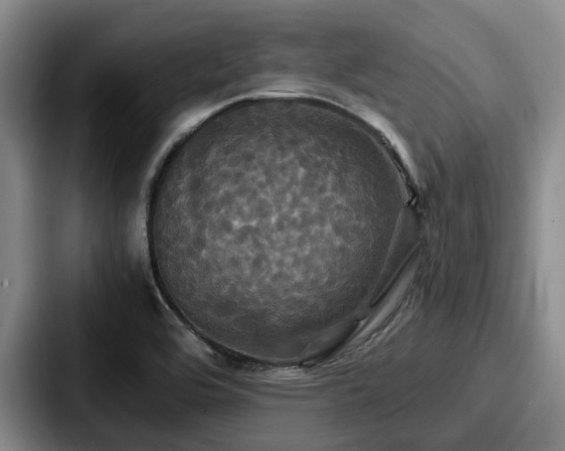 X0000087711464200705111412