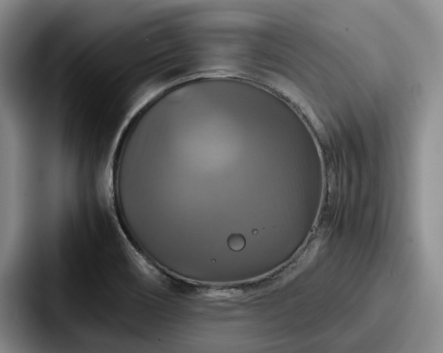X0000087711466200705111412