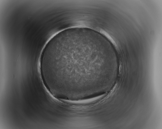 X0000087711468200705111412
