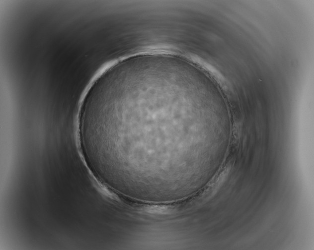 X0000087711470200705111412