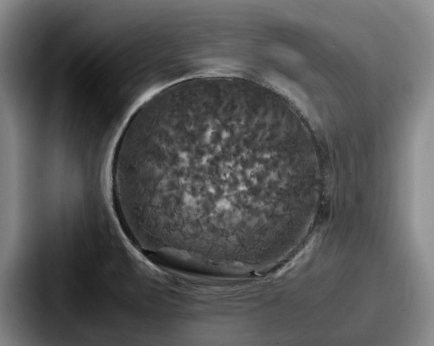 X0000087711471200705111412