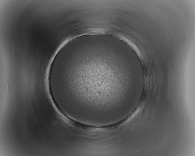 X0000087711475200705111412