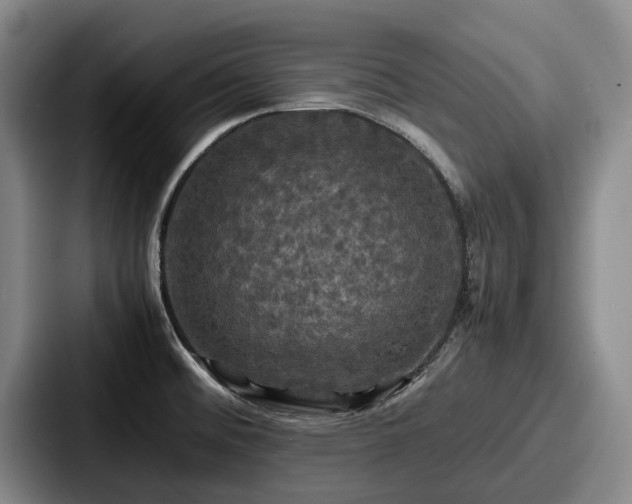 X0000087711476200705111412
