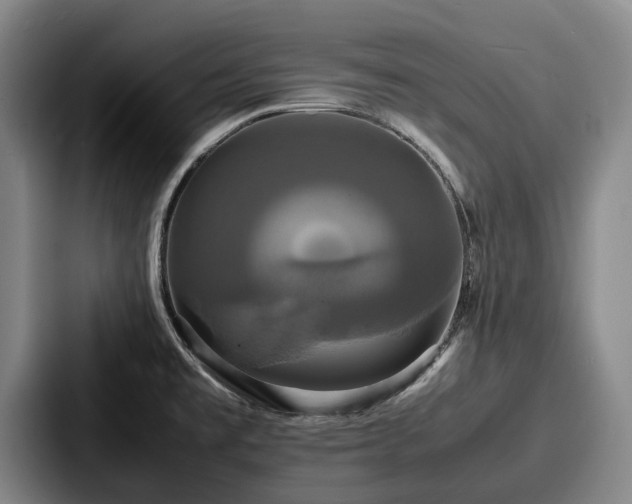 X0000087711477200705111412