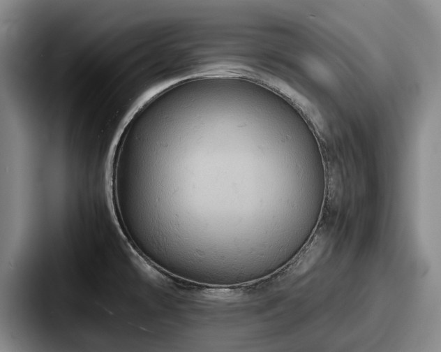 X0000087711478200705111412