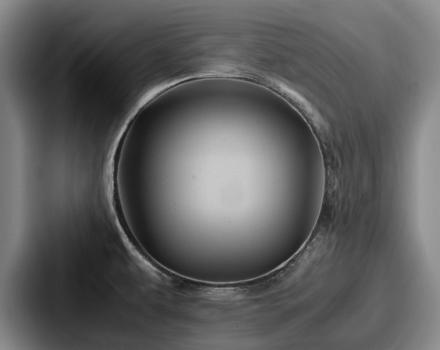 X0000087711479200705111412