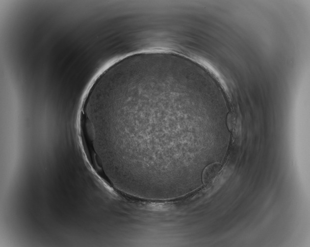 X0000087711480200705111412