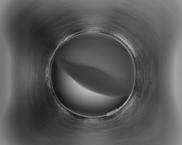 X0000087711481200705111412