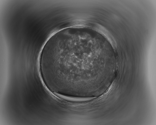 X0000087711483200705111412
