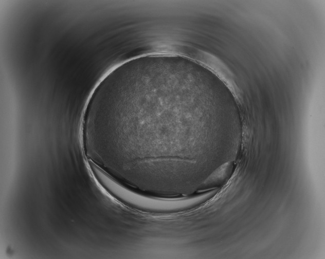 X0000087711484200705111412