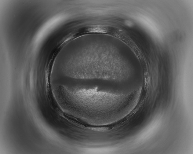 X0000087711487200705111412