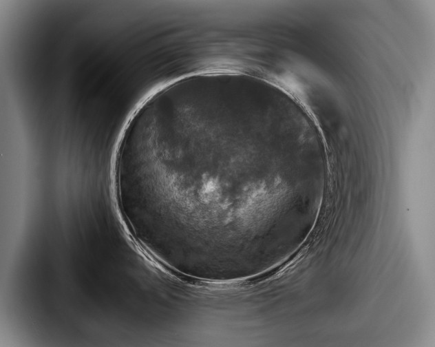 X0000087711488200705111412