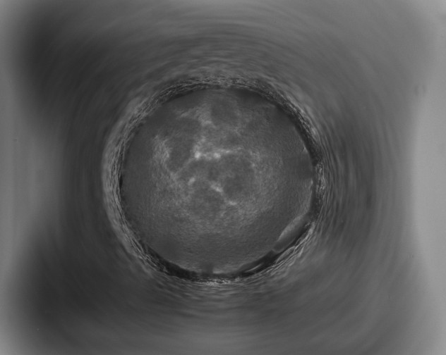 X0000087711489200705111411