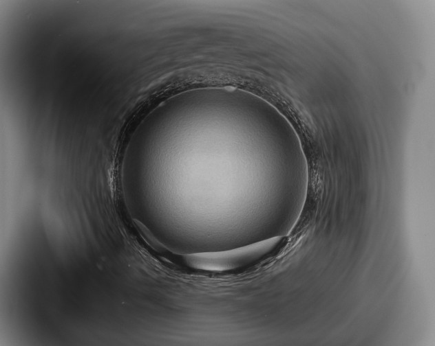 X0000087711490200705111411