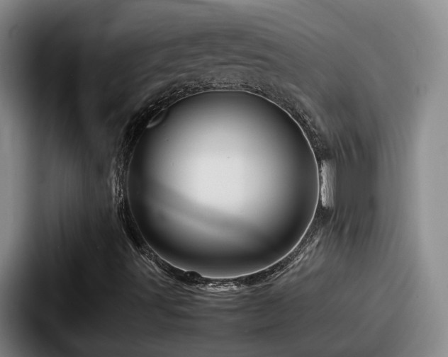 X0000087711491200705111411