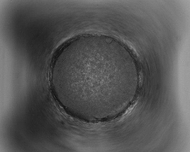 X0000087711494200705111411