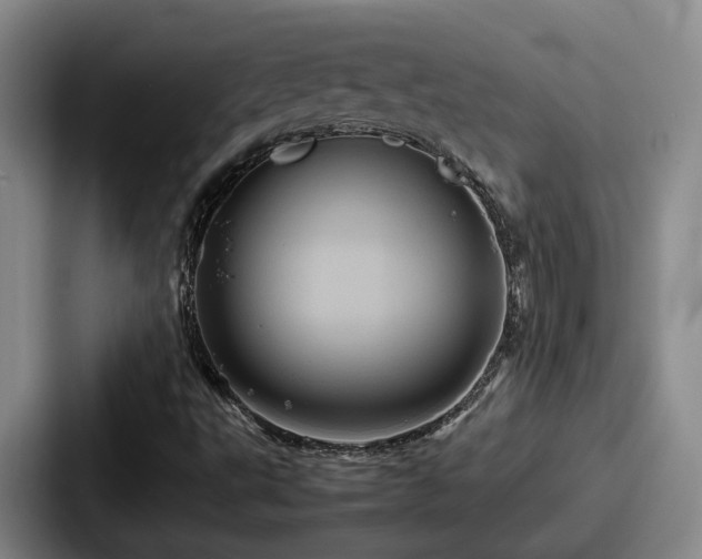 X0000087711495200705111411