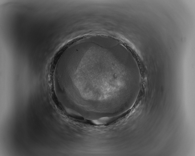 X0000087711496200705111412