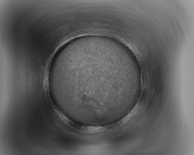 X0000087711498200705111412