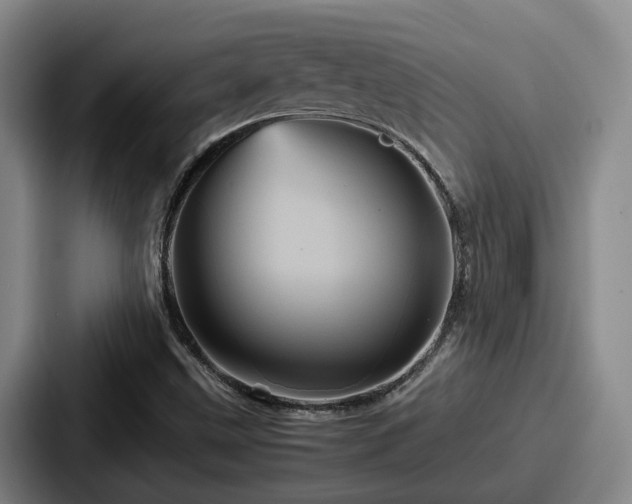 X0000087711499200705111412