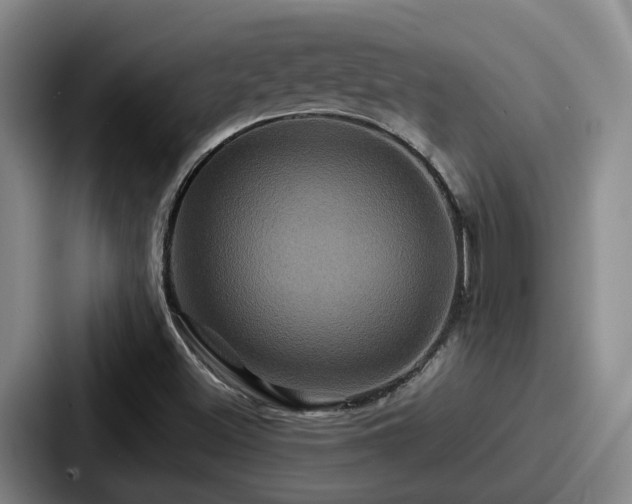 X0000087711500200705111412