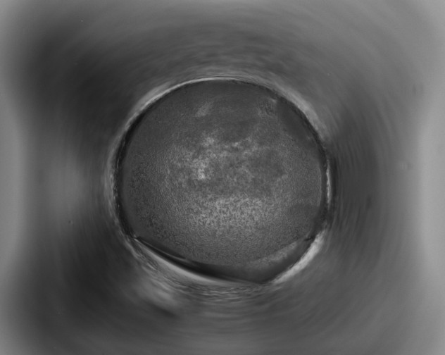 X0000087711501200705111412