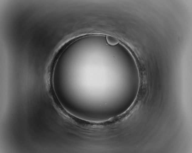 X0000087711503200705111412