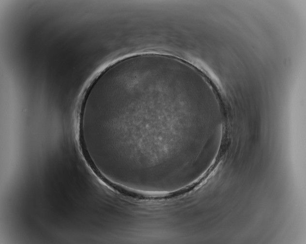 X0000087711504200705111412