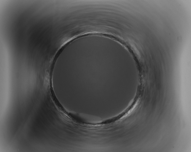 X0000087711505200705111412