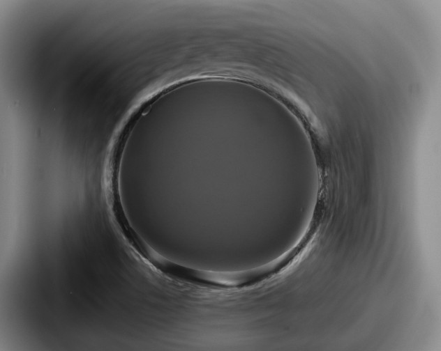 X0000087711506200705111412