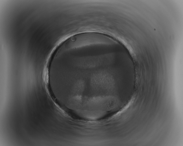 X0000087711509200705111412