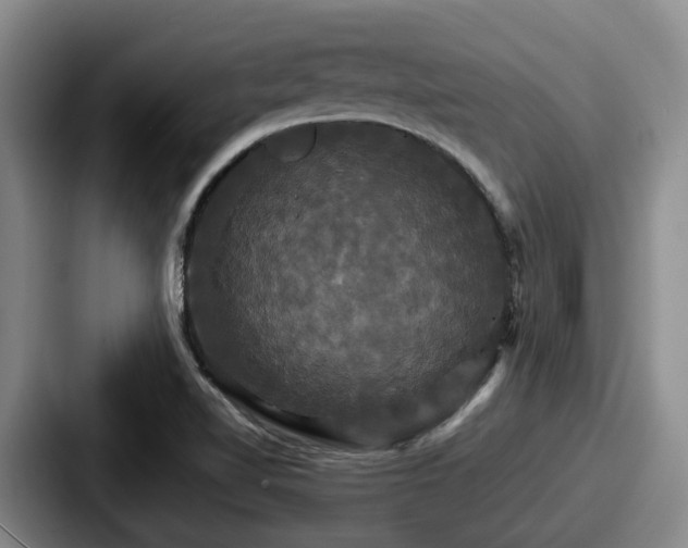 X0000087711510200705111412