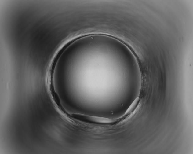 X0000087711511200705111412