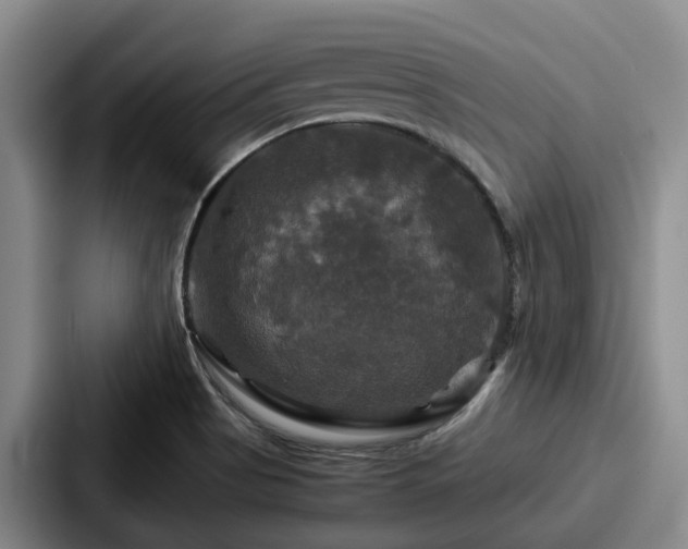 X0000087711513200705111412