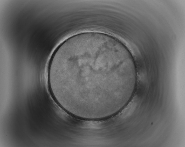 X0000087711514200705111412