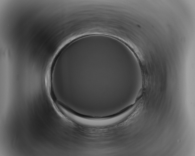 X0000087711515200705111412