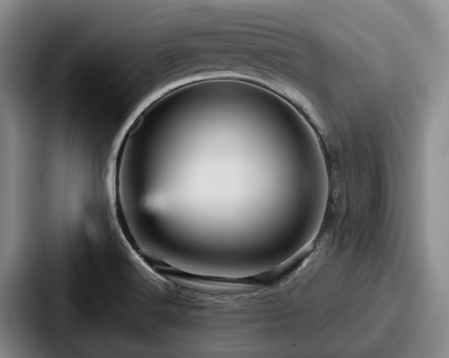 X0000087711516200705111412