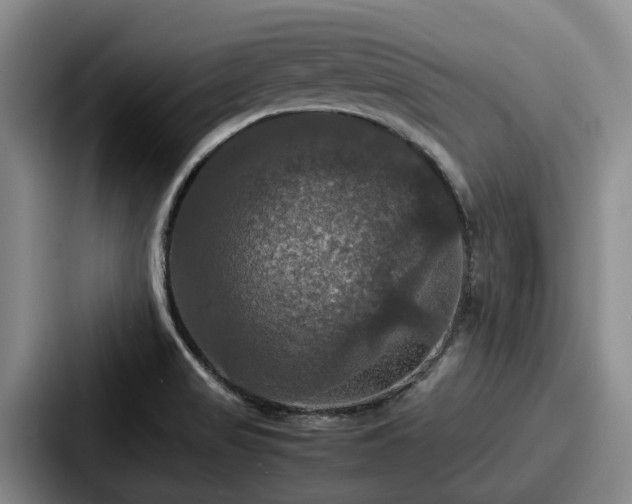 X0000087711517200705111412