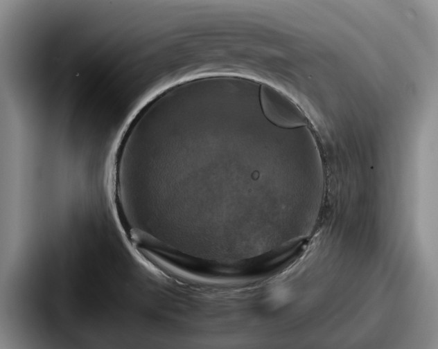 X0000087711519200705111412