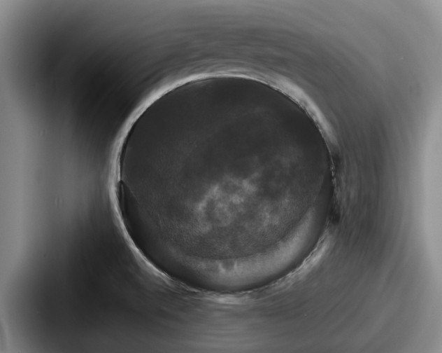X0000087711520200705111412